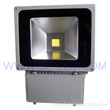 High Efficient Pure White 80W led floodlight Edison